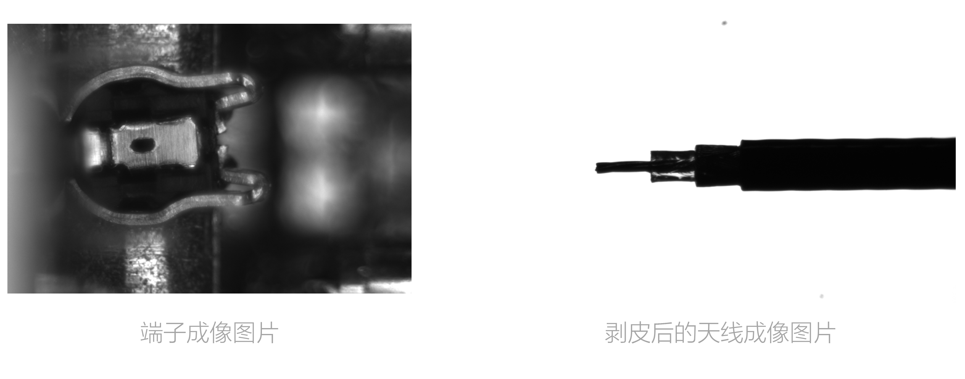 尊龙人生就是搏·(中国)最新网页版