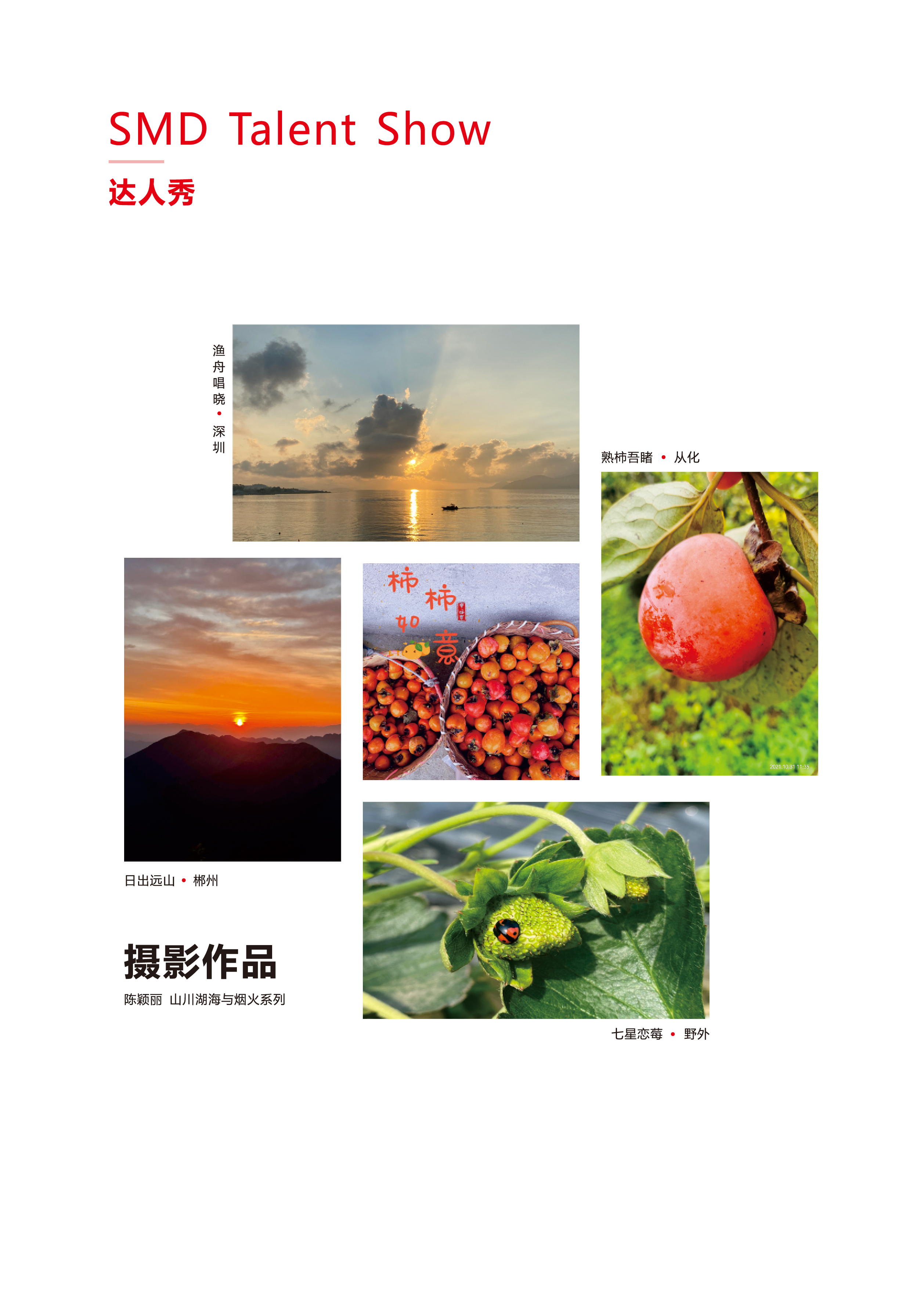 尊龙人生就是搏·(中国)最新网页版